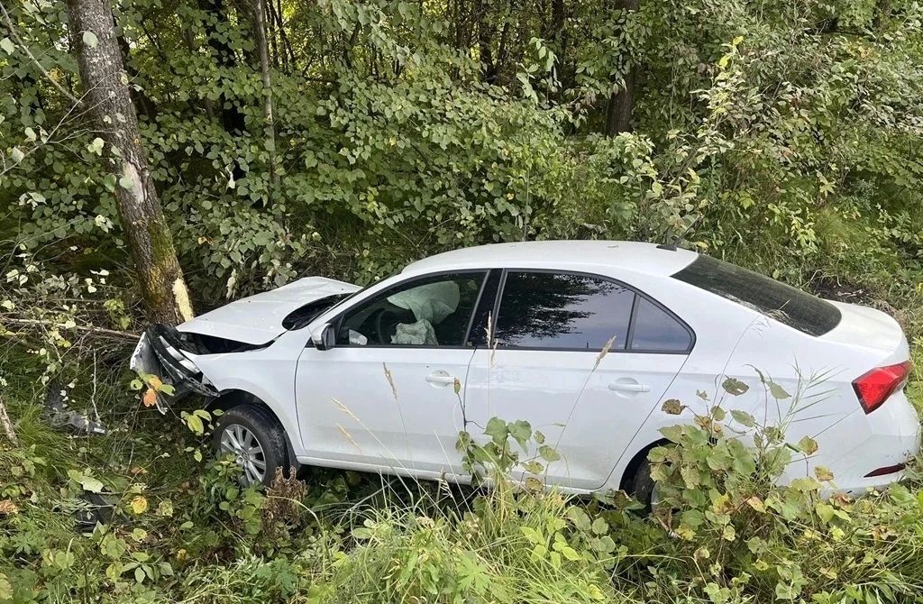 Мама с дочкой пострадали в ДТП в Тобольске: их авто влетело в дерево