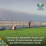 В регионе завершилась осенняя инвентаризация лесных питомников и тепличных комплексов Тюменской авиабазы