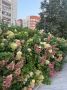 Когда хочется поставить лето на паузу