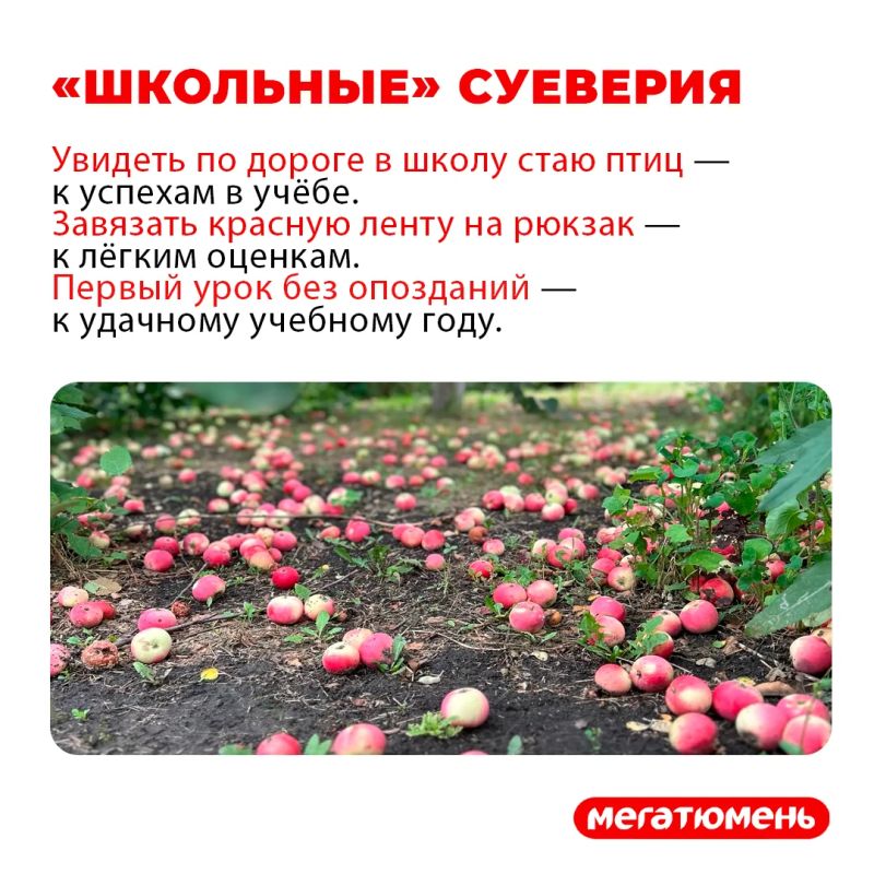 Вот и наступило 1 сентября! Вот и наступило 1 сентября!