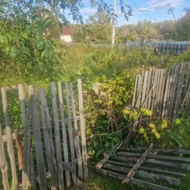 В тобольском СНТ «Сосновый бор» местные заметили медвежьи следы на своих дачных участках В тобольском СНТ «Сосновый бор» местные заметили медвежьи следы на своих дачных участках