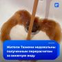 ���������� �� ����������� ���� �������� �������� ���������� �������