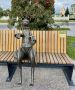 Тюментий (ну буквально, Шуфутинский!) наслаждается погодой, болтает лапками и пристально наблюдает, как вам его актуализация?