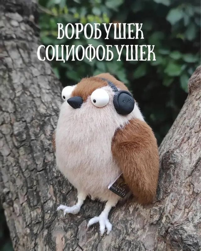 Ну что, выбираем настроение на сегодня! Ну что, выбираем настроение на сегодня!