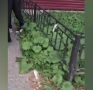 Кроссовер врезался в подъезд и сбил пешехода
