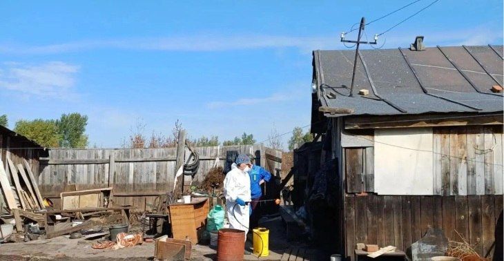 Санитарную обработку пострадавших от паводка домовладений в районе ул. Томской в Тюмени завершили сотрудники специализированной службы