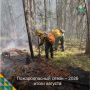 В августе в лесах Тюменской области зафиксировали 3 лесных пожара