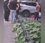 ������� �� ���������� ��������� ������� � �������� �� ������������� ����� ��������