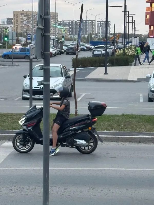 Юные гонщики: любопытство становится явной угрозой на дороге Юные гонщики: любопытство становится явной угрозой на дороге