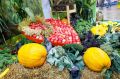 ��������� �������������� ���������� ������������� � ���������������� �������� ����������
