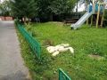 В Тобольске кабачки стали подкидывать на детские площадки