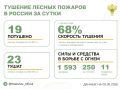 За прошедшие сутки в 10 регионах России потушили 19 лесных пожаров