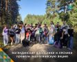 Чистый лес — чистая совесть