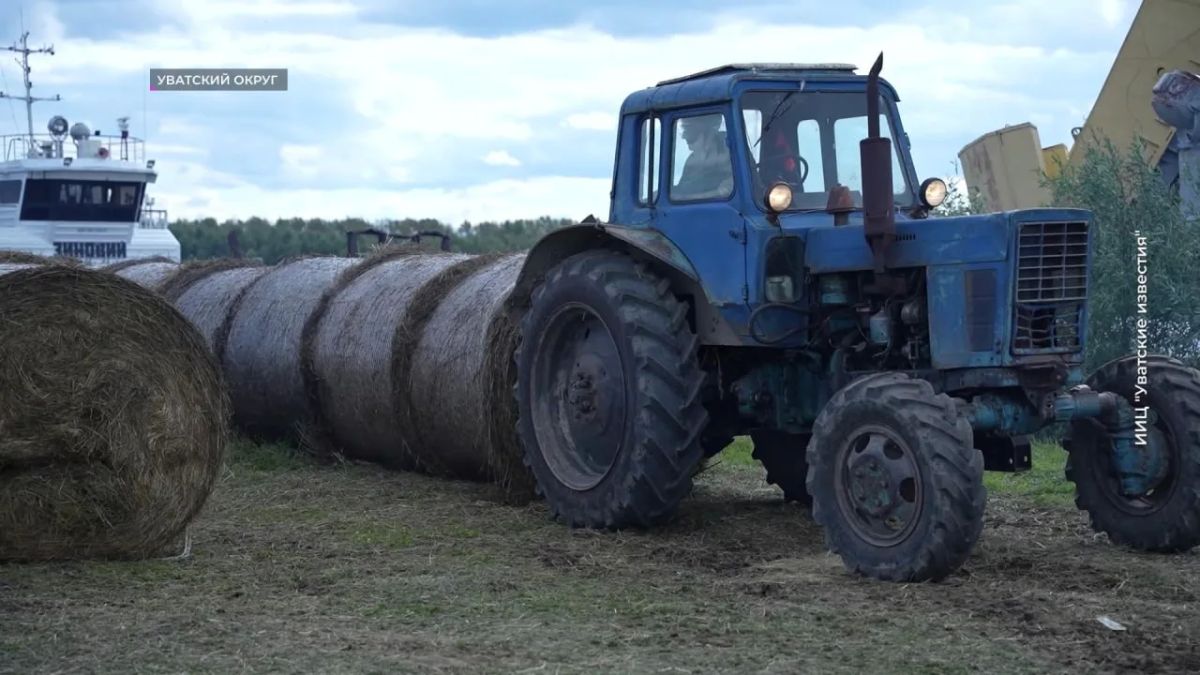 Из Уватского района на север отправили очередную партию сена Из Уватского района на север отправили очередную партию сена