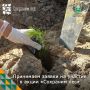 � ��������� ������ ��������� ����������� ����������� ������������� ����� ��������� ���