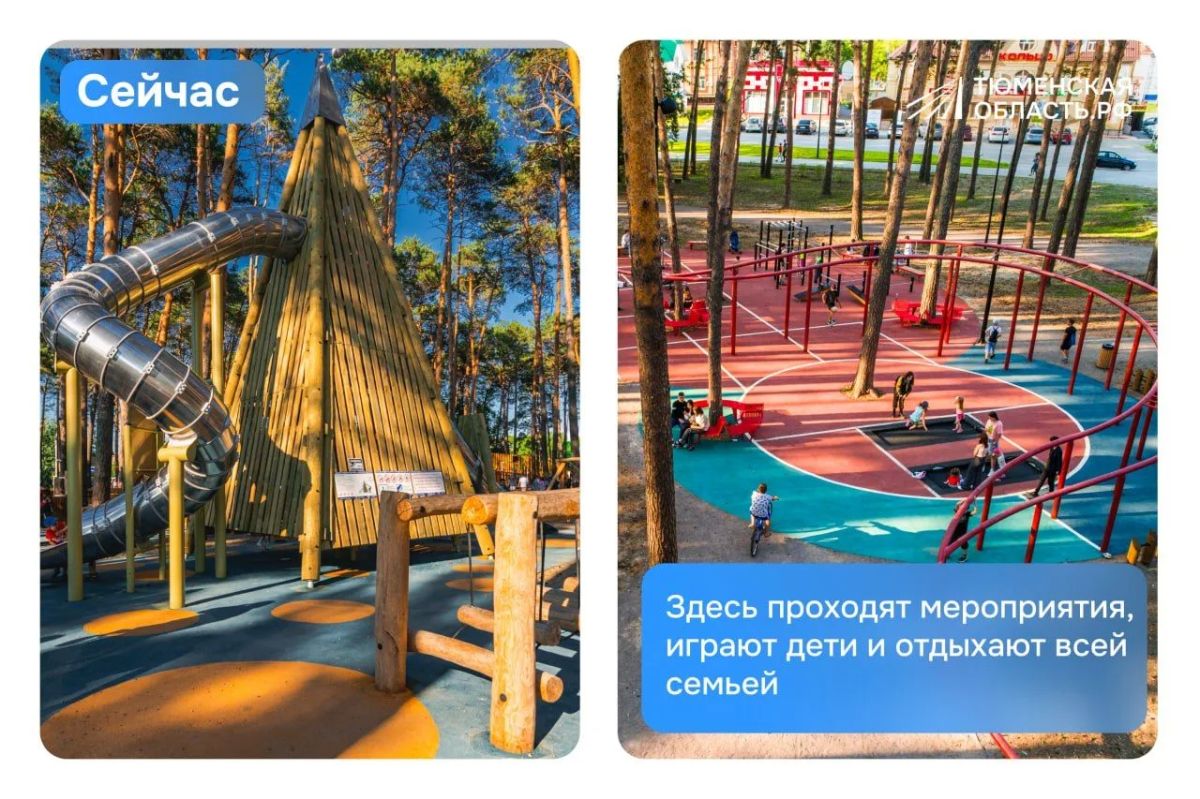 Из соснового бора — в любимое место отдыха Заводоуковска! Из соснового бора — в любимое место отдыха Заводоуковска!