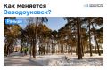 Из соснового бора — в любимое место отдыха Заводоуковска!