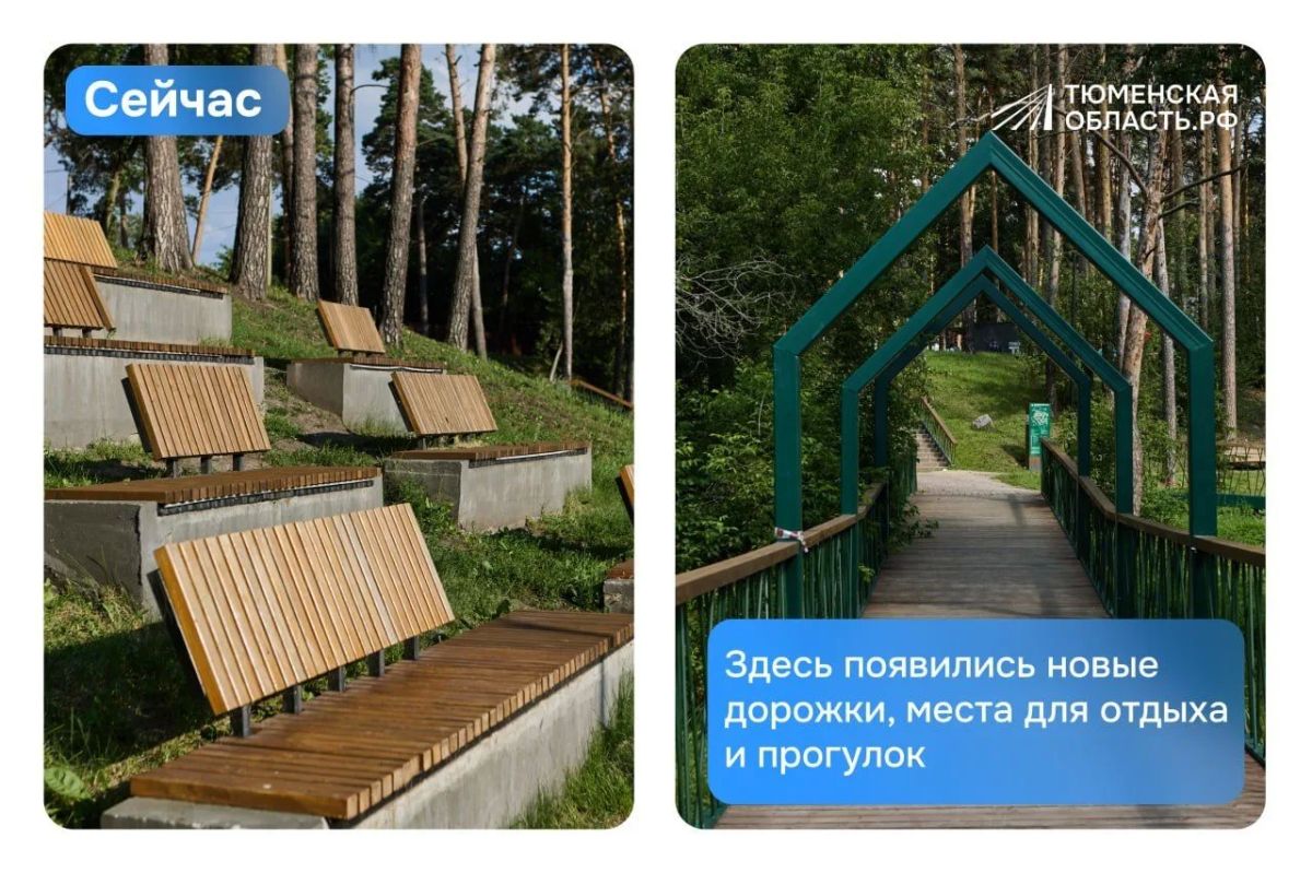 Из соснового бора — в любимое место отдыха Заводоуковска! Из соснового бора — в любимое место отдыха Заводоуковска!