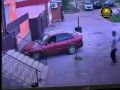 Кошка угнала легковушку, устроила ДТП, а потом технично скрылась с места происшествия