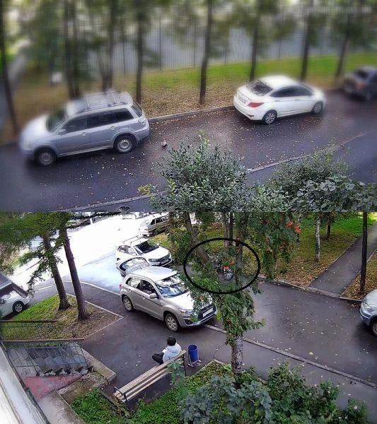 В полицию Тюмени обратился местный житель, который заявил, что у него похитили мотоцикл стоимостью 90 тысяч рублей В полицию Тюмени обратился местный житель, который заявил, что у него похитили мотоцикл стоимостью 90 тысяч рублей