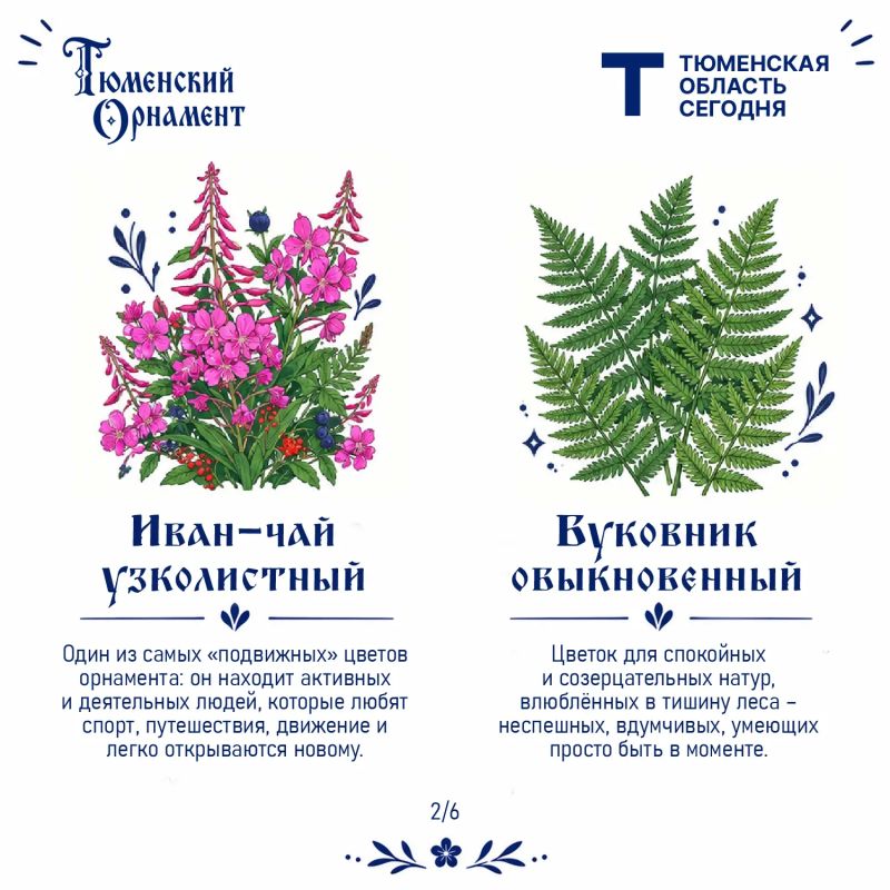 Что говорит о вас растение из «Тюменского орнамента»? Что говорит о вас растение из «Тюменского орнамента»?