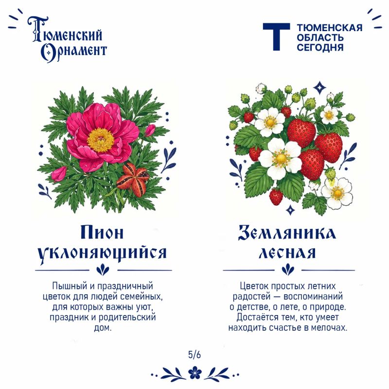 Что говорит о вас растение из «Тюменского орнамента»? Что говорит о вас растение из «Тюменского орнамента»?