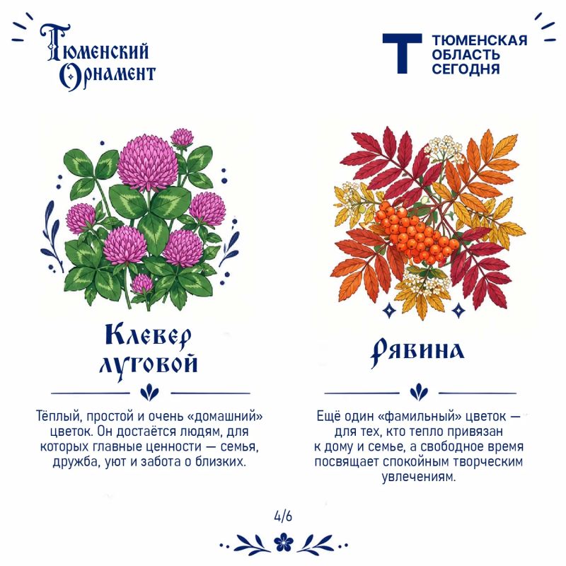 Что говорит о вас растение из «Тюменского орнамента»? Что говорит о вас растение из «Тюменского орнамента»?