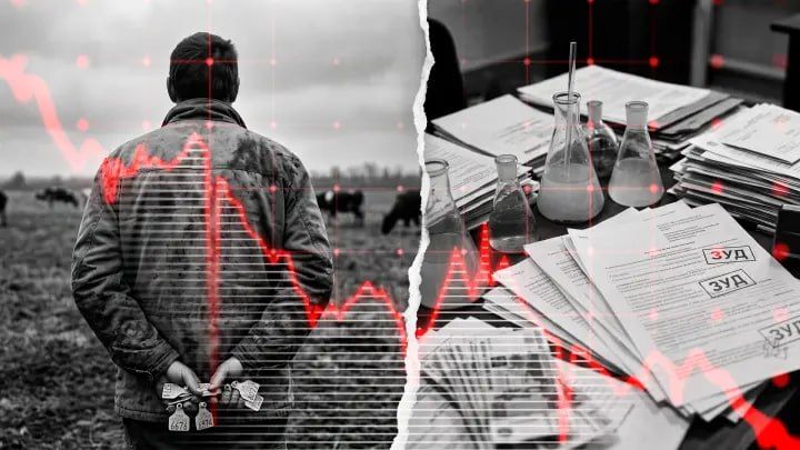 Кризис ветеринарии: Коррупция или диверсия?