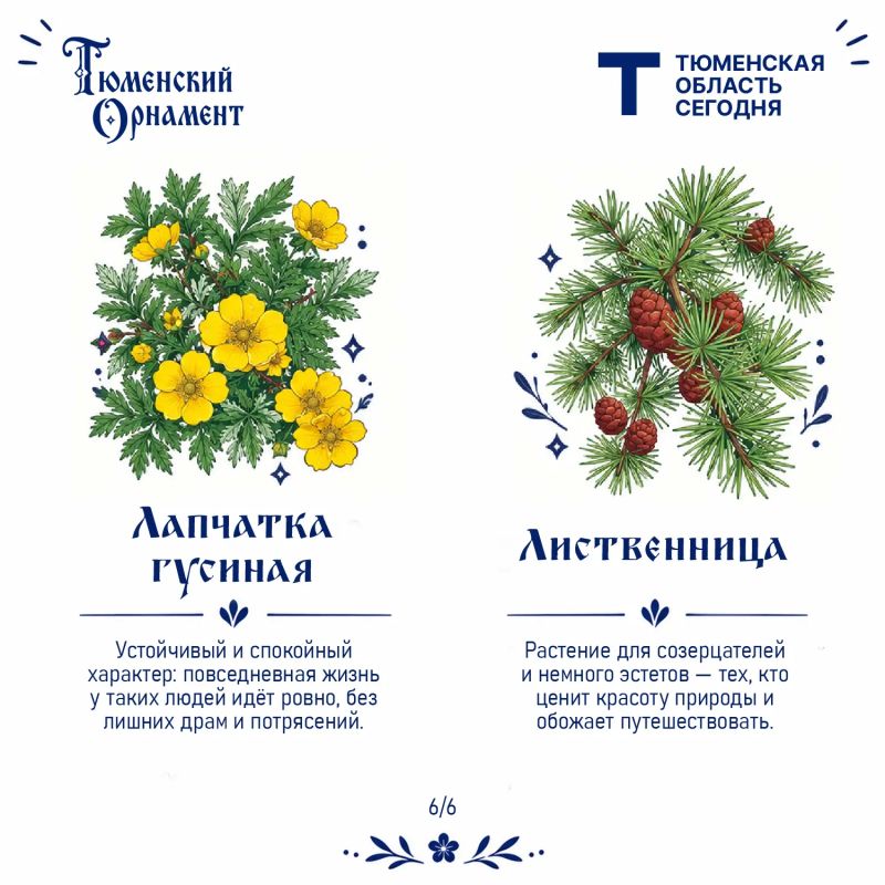 Что говорит о вас растение из «Тюменского орнамента»? Что говорит о вас растение из «Тюменского орнамента»?