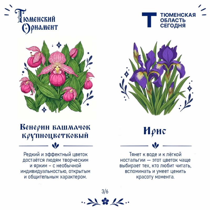Что говорит о вас растение из «Тюменского орнамента»? Что говорит о вас растение из «Тюменского орнамента»?