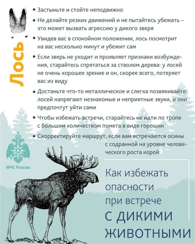 Уважаемые тоболяки! Мы видим ваши сообщения в социальных сетях о том, что жители СНТ замечают следы медведей Уважаемые тоболяки! Мы видим ваши сообщения в социальных сетях о том, что жители СНТ замечают следы медведей