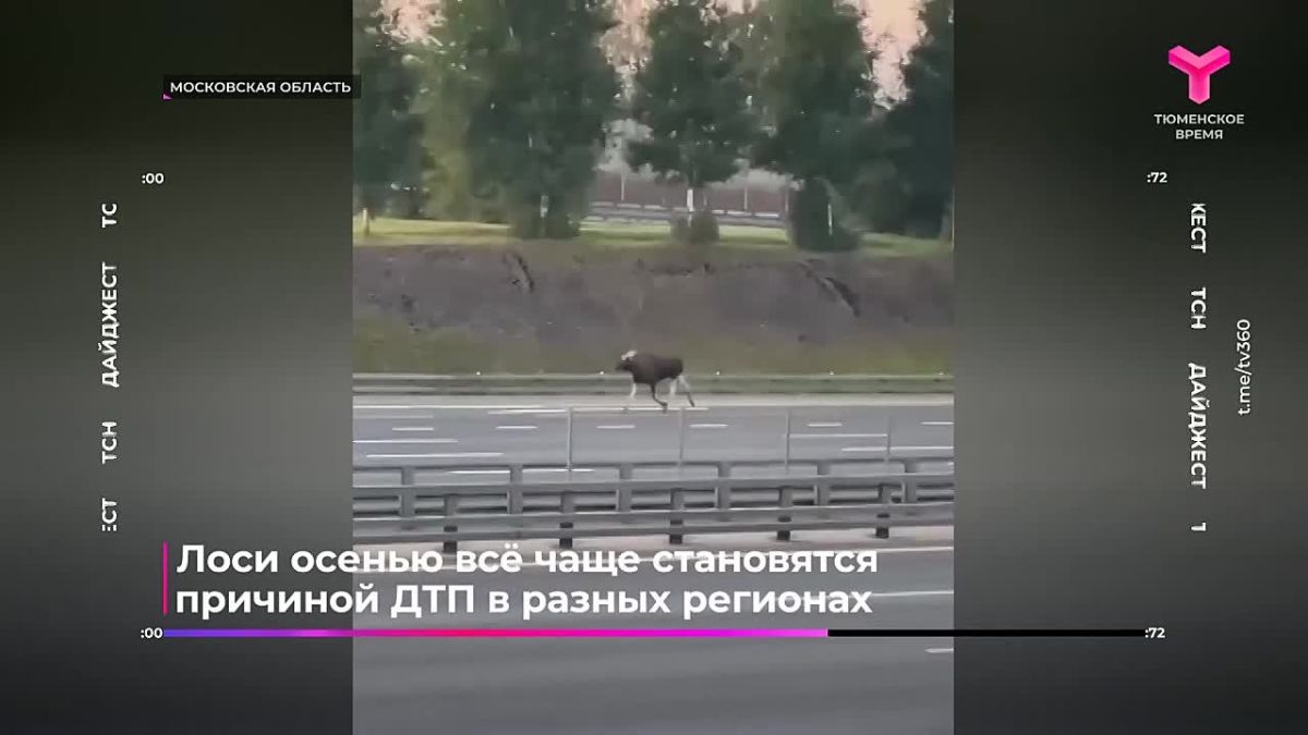 Обзор событий этого дня в нашем дайджесте
