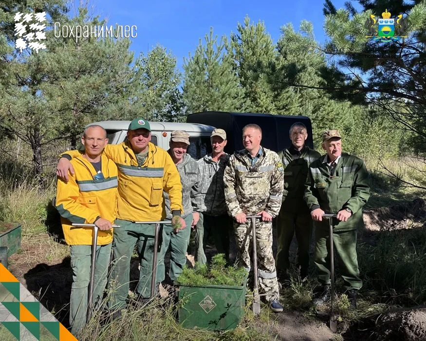 В Тюменской области продолжаются акционные посадки леса В Тюменской области продолжаются акционные посадки леса