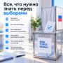 Все, что нужно знать перед выборами