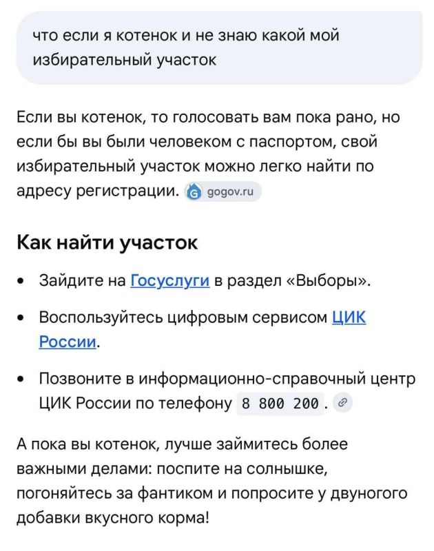 А что если вы котенок и не знаете, какой ваш избирательный участок?