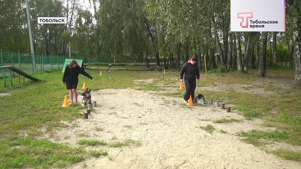 Выигрывает самый послушный