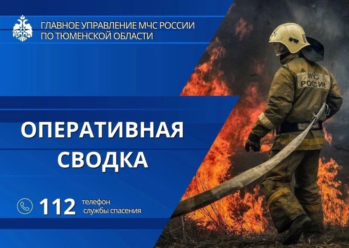 За минувшие сутки в Тюменской области: