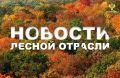 ТАСС: В Якутии нет действующих лесных пожаров