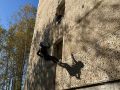 Завершился второй день областных соревнований «Школа безопасности» на Кубок Героя России В.И. Шарпатова