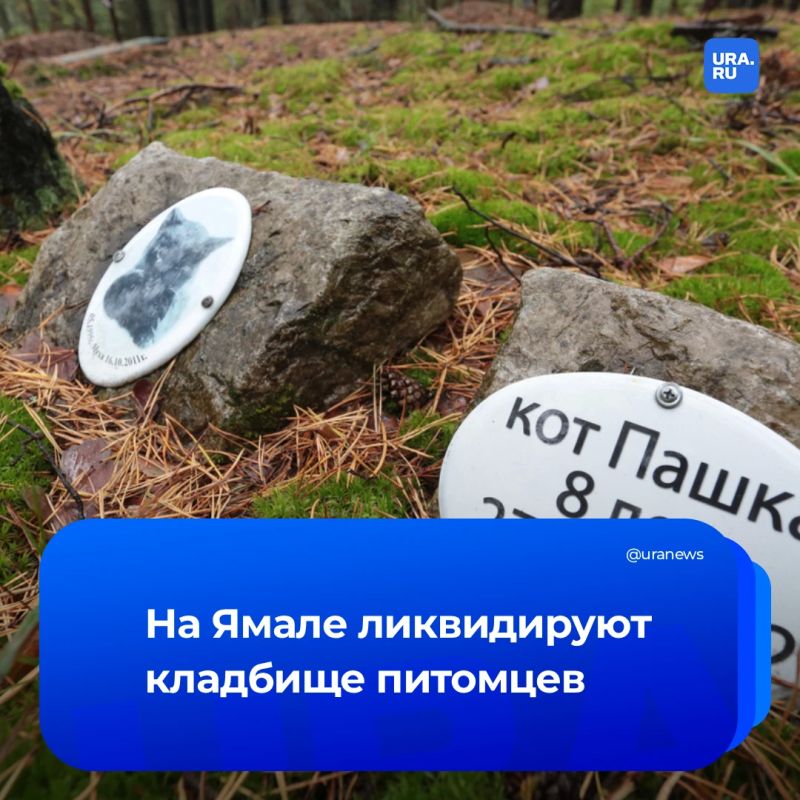 Кладбище домашних животных ликвидируют в ЯНАО