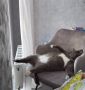 Суббота. Докатились до выходных!