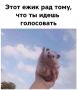 Этот ежик очень доволен вашими планами на выходные