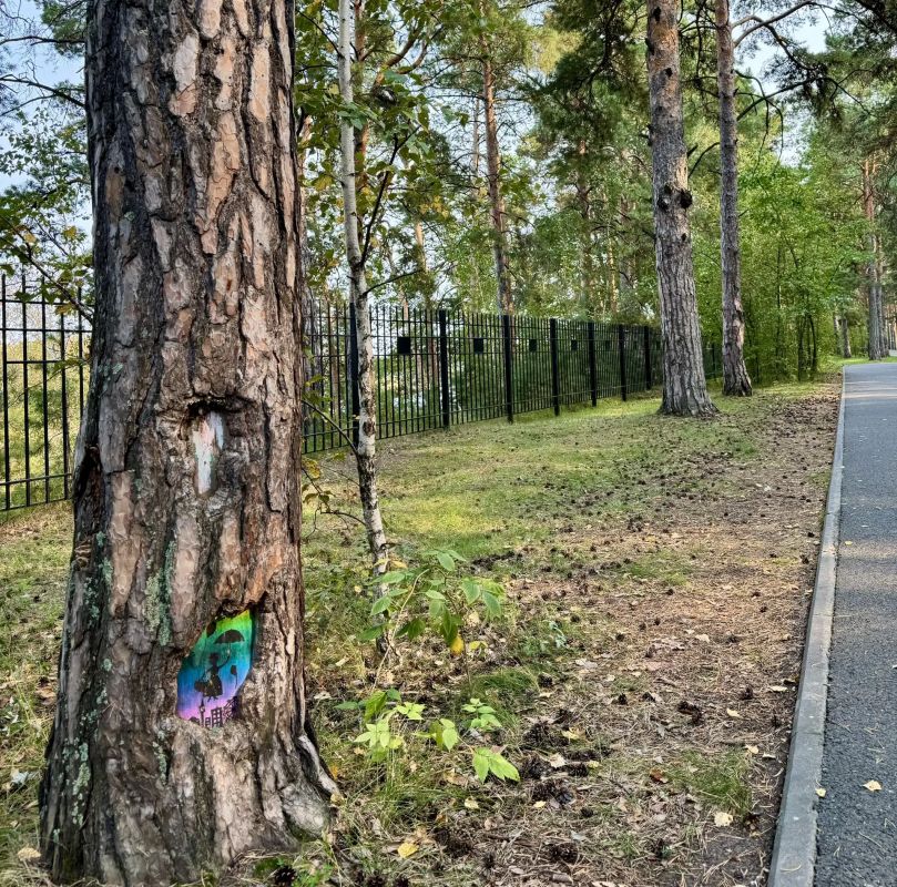 Не ждем ветер перемен и отправляемся на прогулку в тюменские парки