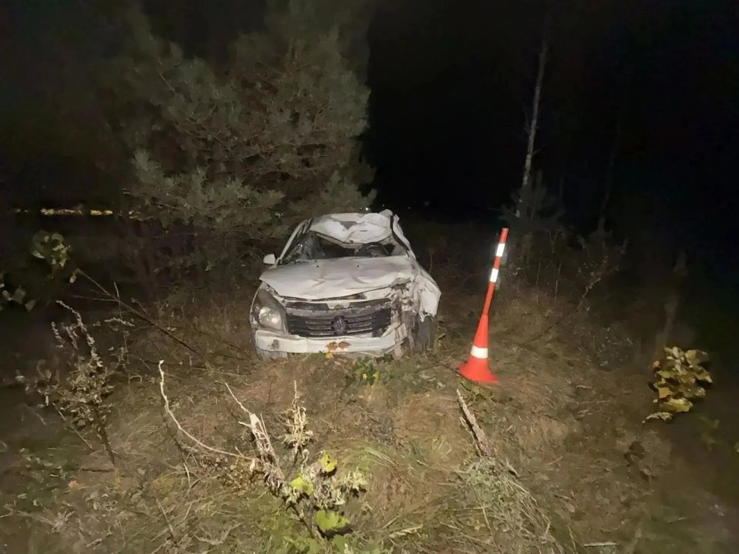ДТП с лошадью под Тюменью: автомобиль оказался серьёзно повреждён ДТП с лошадью под Тюменью: автомобиль оказался серьёзно повреждён
