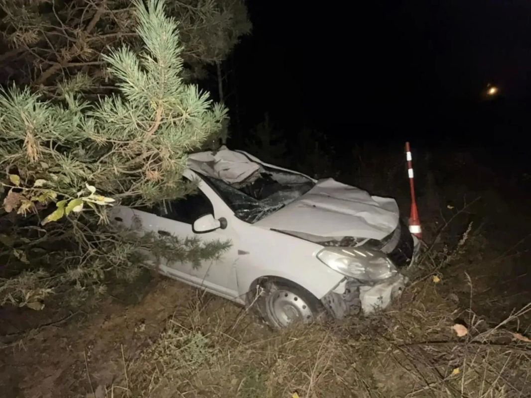 В Тюменской области «Рено» сбил лошадь: пострадал ребенок