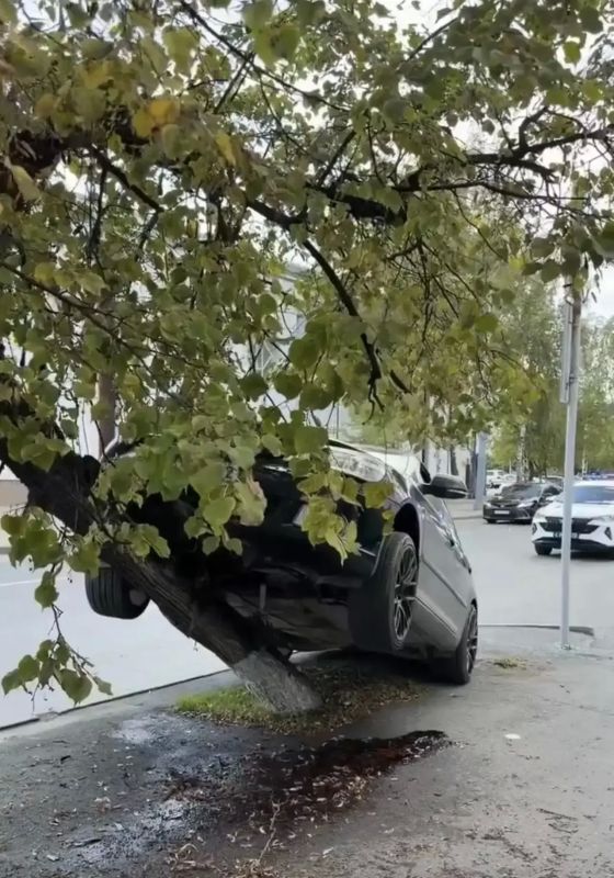 В аварии на Ленина, где легковая залетела на дерево, есть раненые В аварии на Ленина, где легковая залетела на дерево, есть раненые