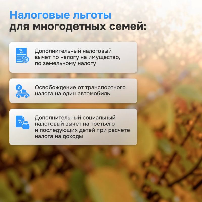 Какие меры поддержки доступны многодетным семьям? Какие меры поддержки доступны многодетным семьям?