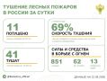 За прошедшие сутки в 8 регионах России потушили 11 лесных пожаров