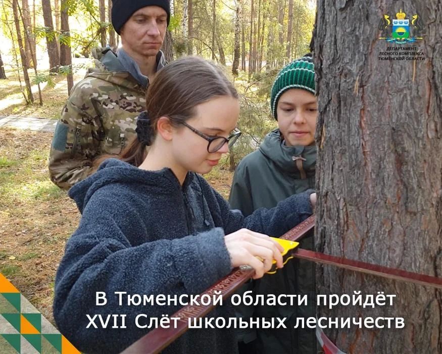 В Тюменской области стартует XVII Слет школьных лесничеств 23 сентября
