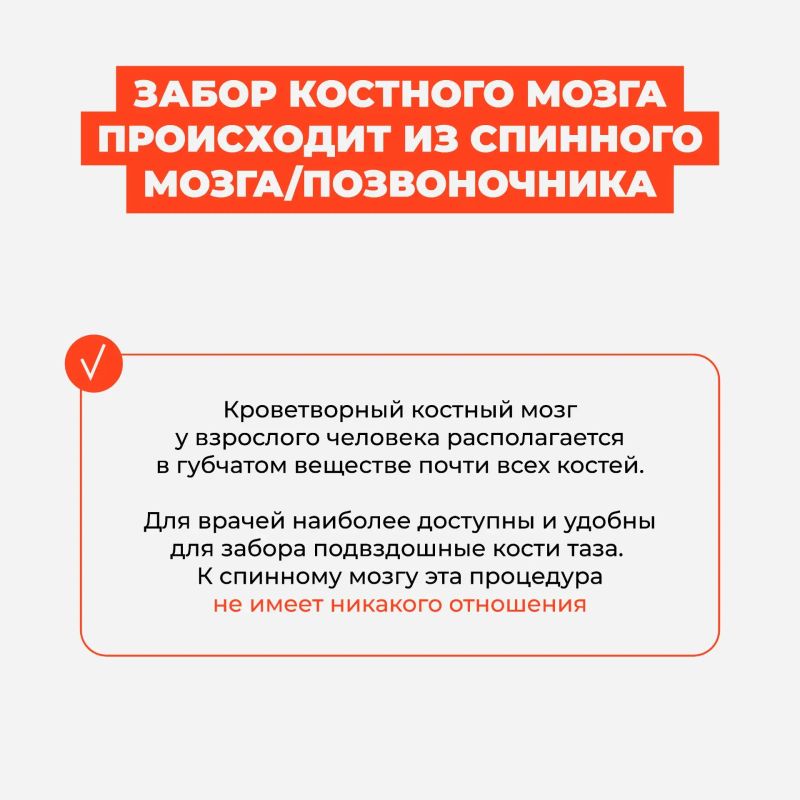 Что такое костный мозг и как происходит донорство костного мозга и стволовых кроветворных клеток — всё карточках Что такое костный мозг и как происходит донорство костного мозга и стволовых кроветворных клеток — всё карточках